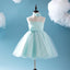 Cute Tiffany Blue Spaghetti Tulle Satin Flower Girl Dresses, Cheap Popular Little Girl Dresses, FG050 - Wish Gown