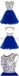 Sexy Open back Royal Blue Short Tulle homecoming prom dresses, CM0008